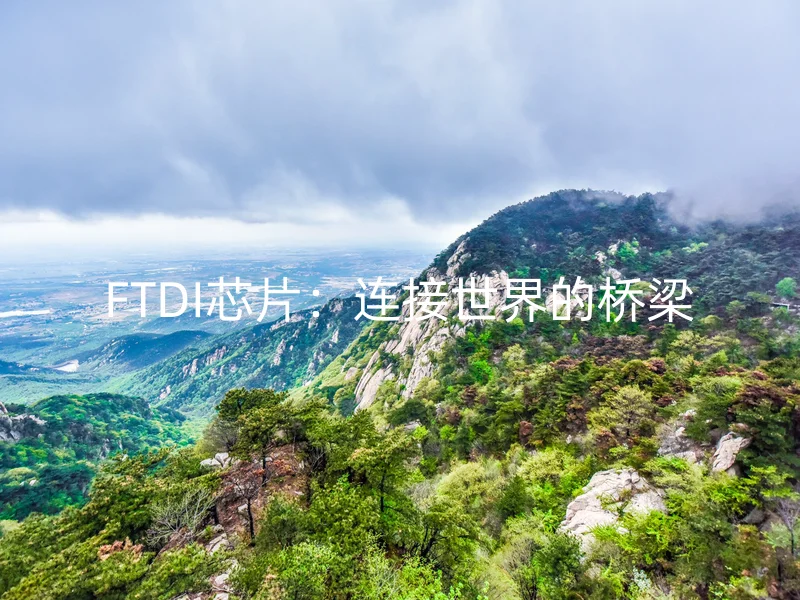 FTDI芯片：连接世界的桥梁