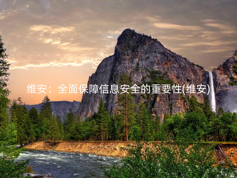 维安：全面保障信息安全的重要性(维安)