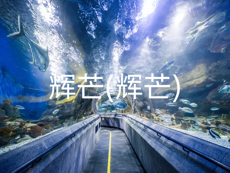辉芒(辉芒)
