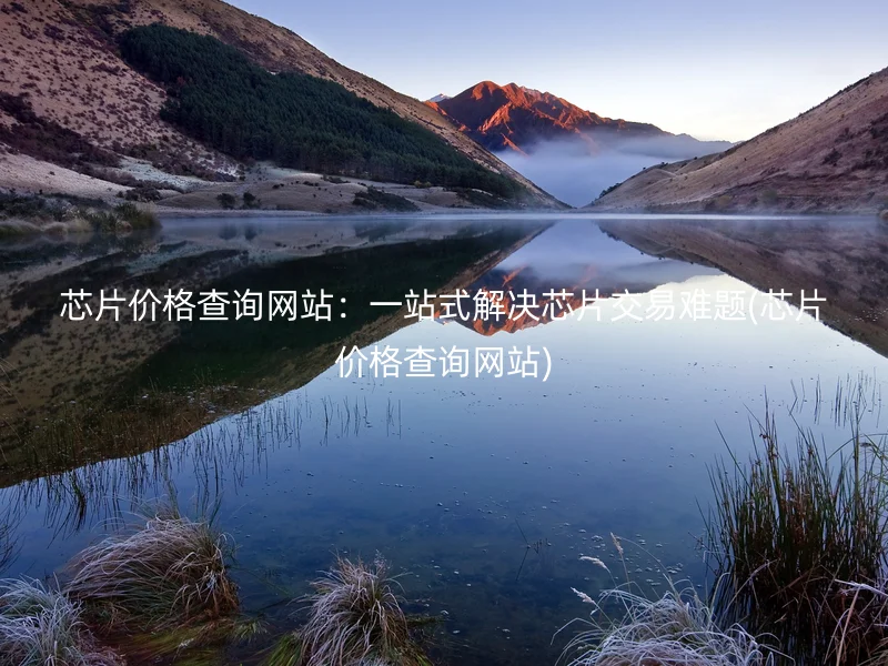 芯片价格查询网站：一站式解决芯片交易难题(芯片价格查询网站)