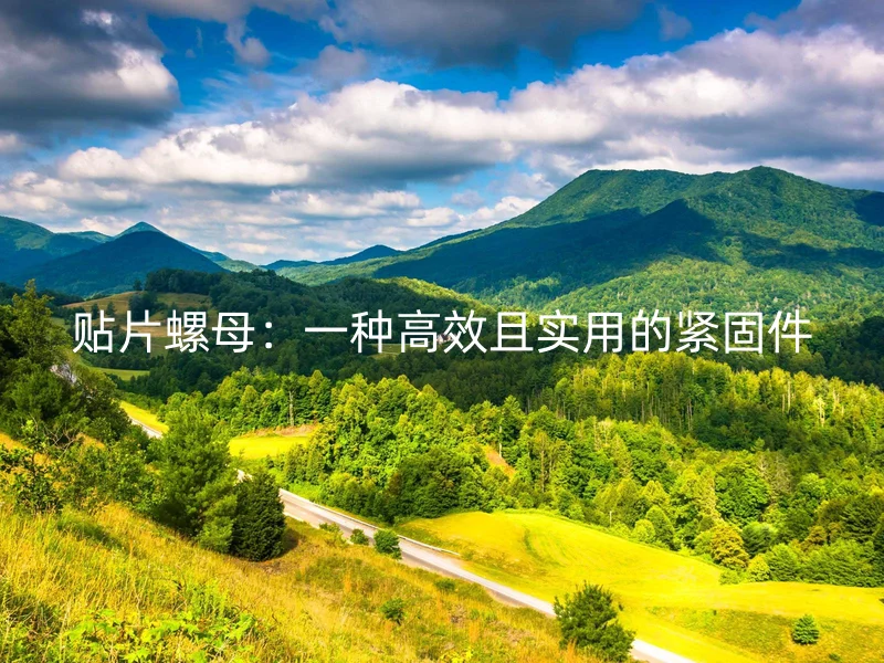贴片螺母：一种高效且实用的紧固件