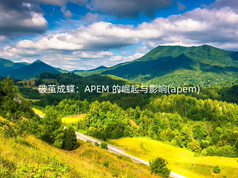 破茧成蝶：APEM 的崛起与影响(apem)