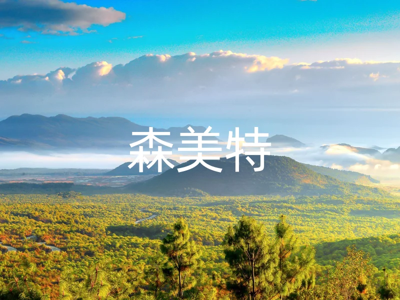 森美特