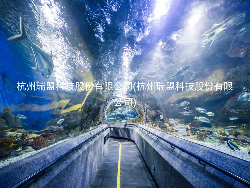 杭州瑞盟科技股份有限公司(杭州瑞盟科技股份有限公司)
