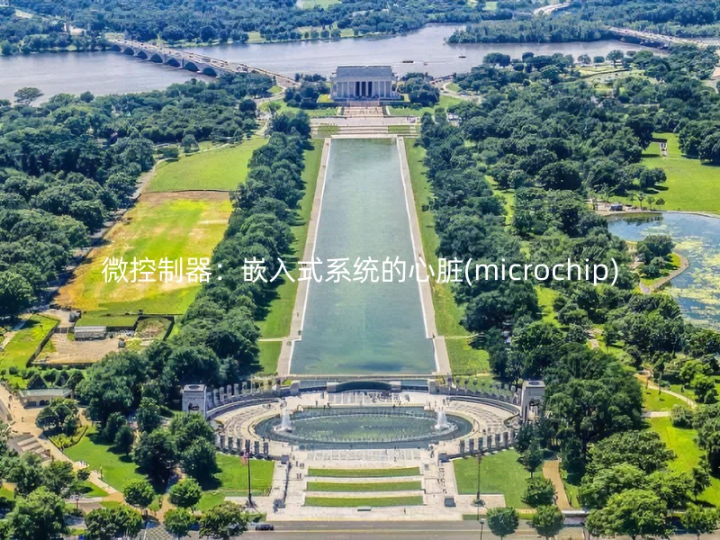 微控制器：嵌入式系统的心脏(microchip)