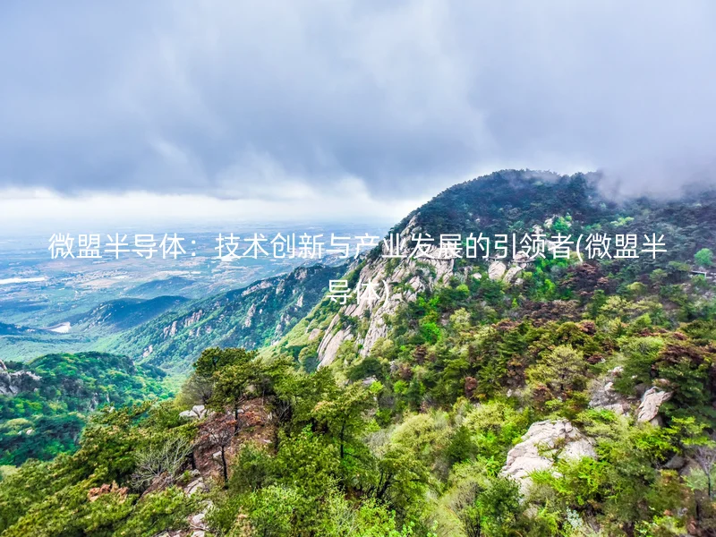 微盟半导体：技术创新与产业发展的引领者(微盟半导体)