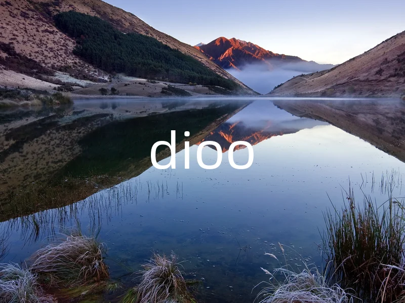 dioo