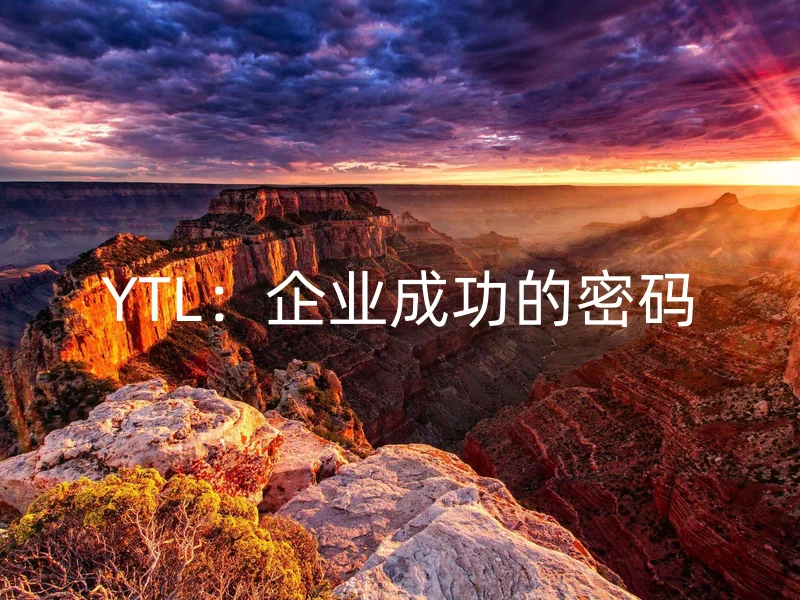 YTL：企业成功的密码