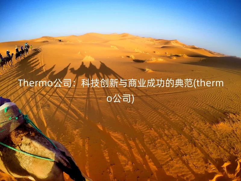 Thermo公司：科技创新与商业成功的典范(thermo公司)
