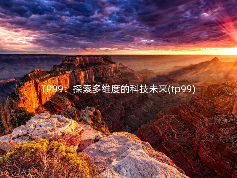 TP99：探索多维度的科技未来(tp99)