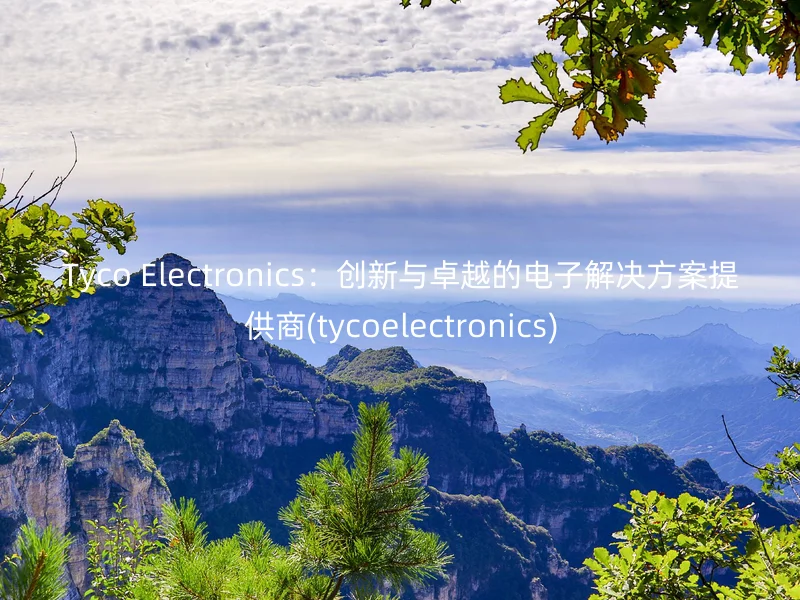 Tyco Electronics：创新与卓越的电子解决方案提供商(tycoelectronics)